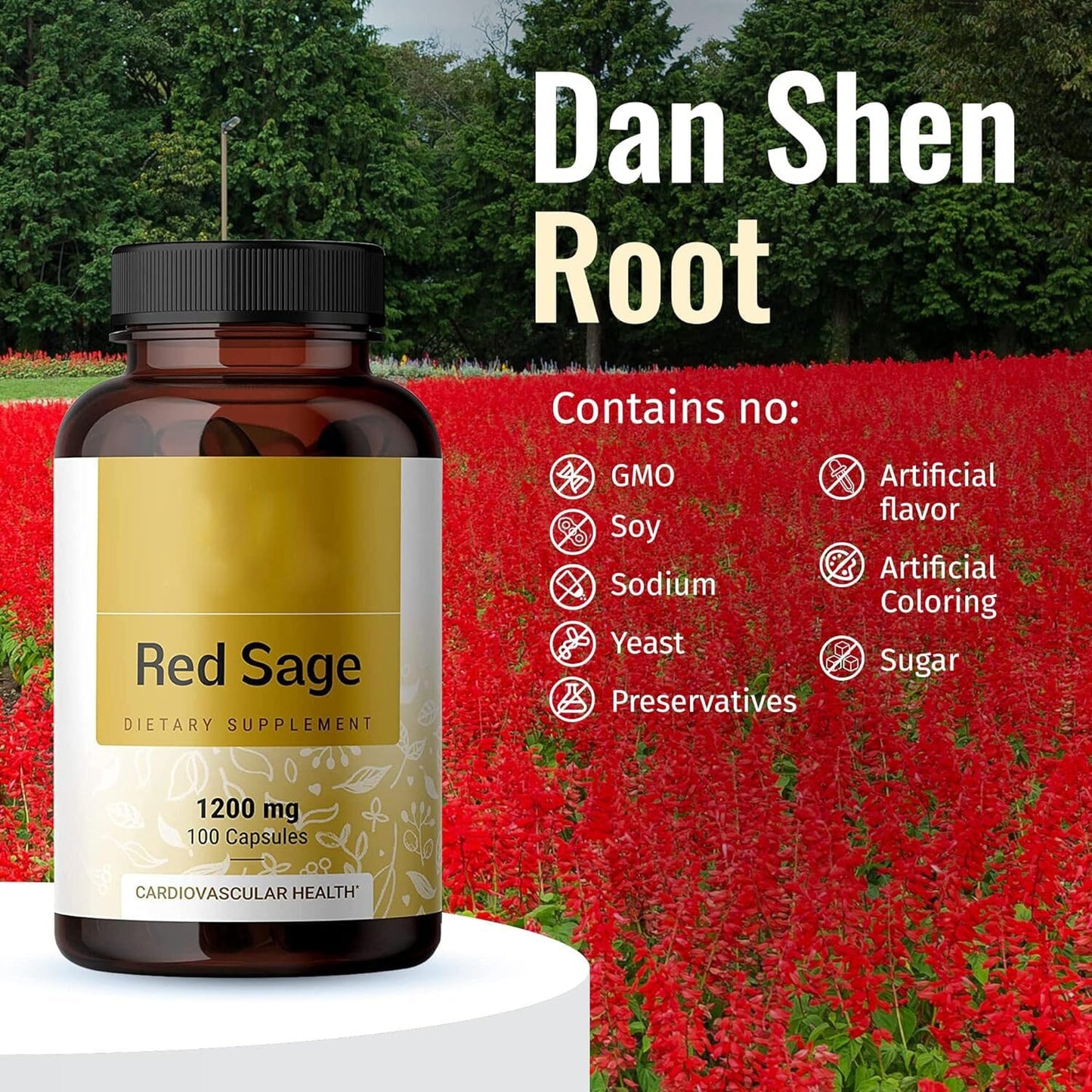 Salvia Miltiorrhiza Red Ginseng Capsule Supplement