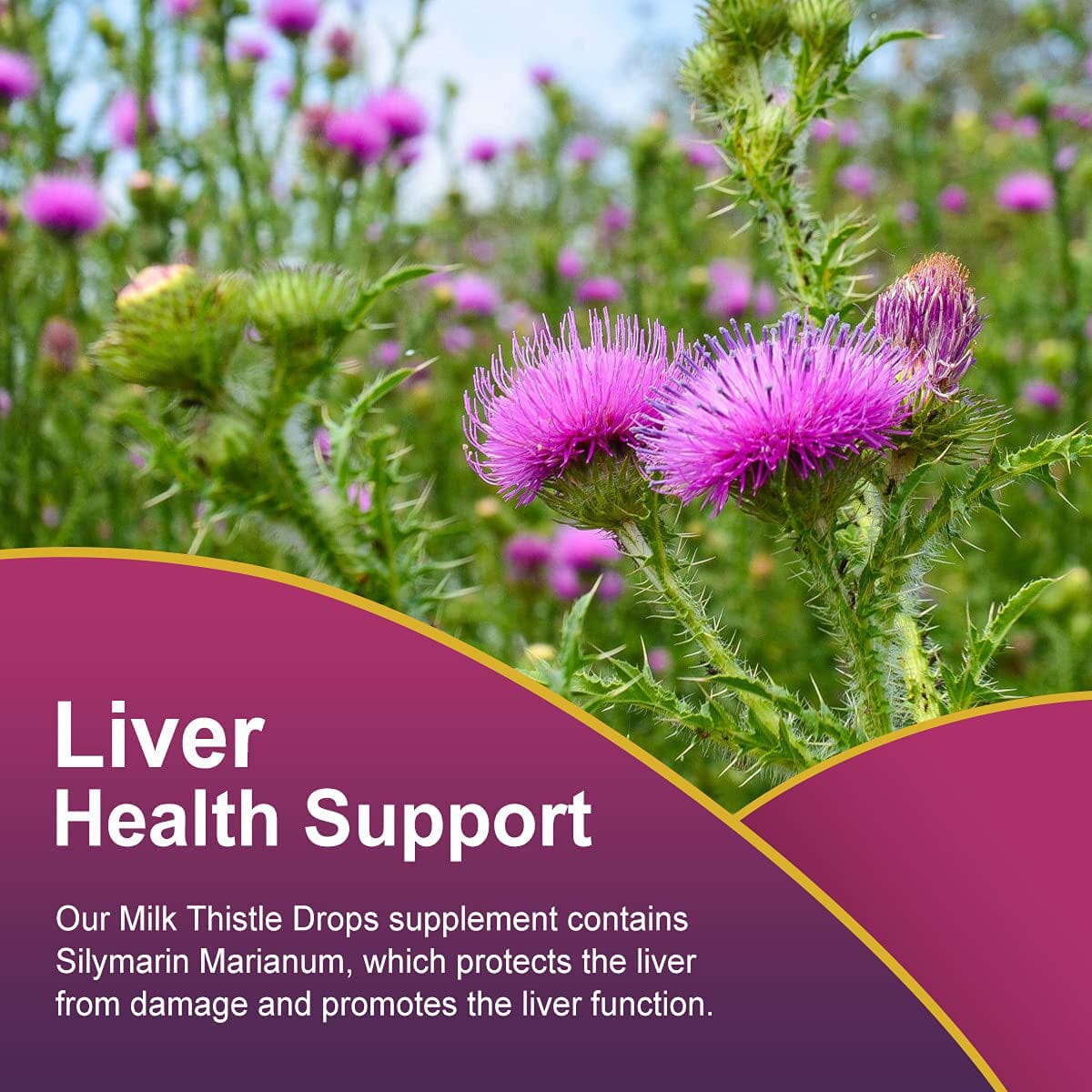 Milk Thistle Drops